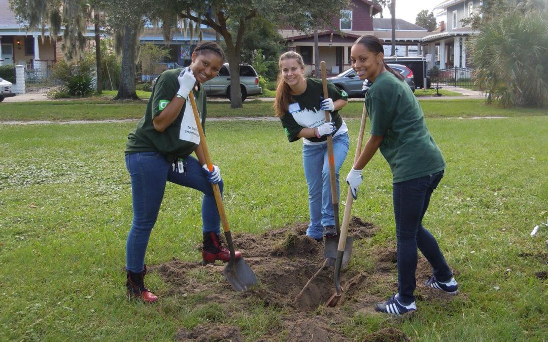 JEA Tree Program With Greenscape and JEA Arborist