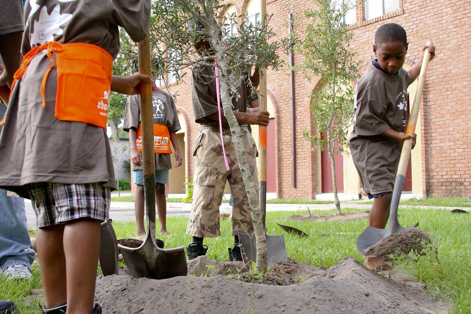 Volunteers planting trees